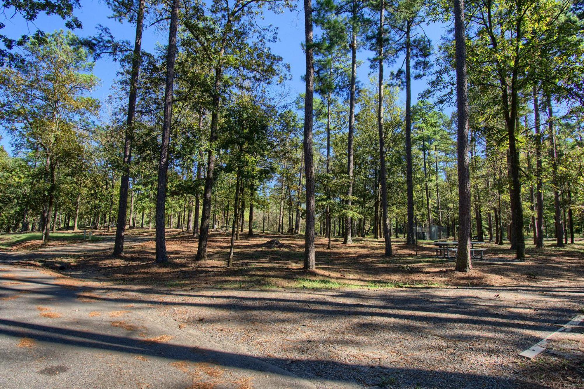 The Americana - Parker Creek Bend Cabins Murfreesboro Εξωτερικό φωτογραφία