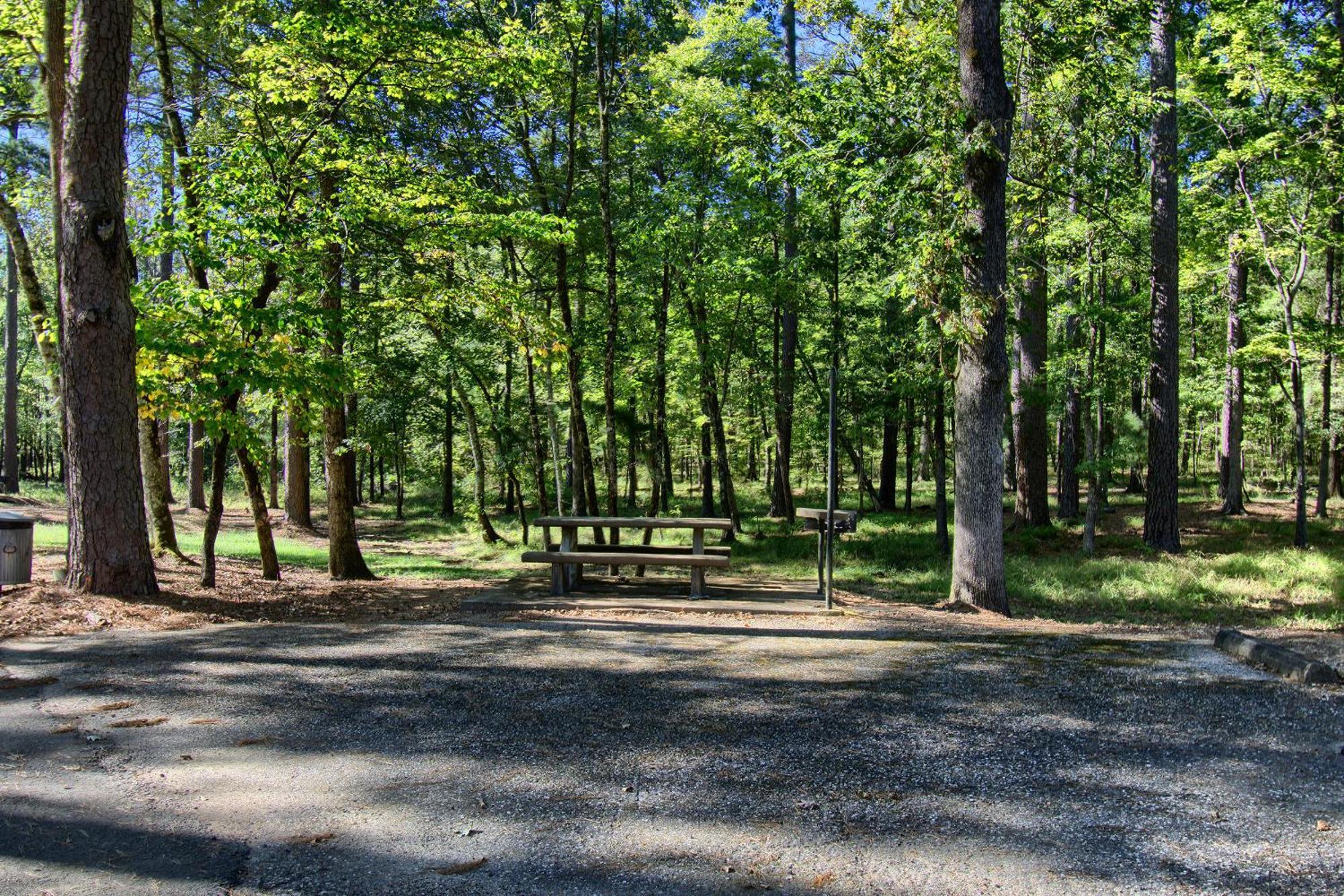 The Americana - Parker Creek Bend Cabins Murfreesboro Εξωτερικό φωτογραφία